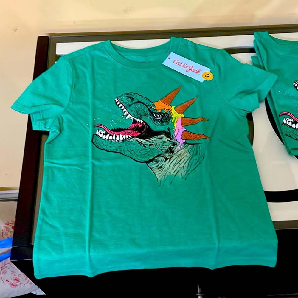 Cat & Jack dinosaur t shirt